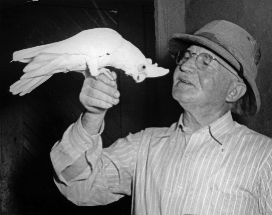 Bird curator Karl Koch says hello to a bare-eyed cockatoo, one of the hundreds of extraordinary bird species he brought back in the 1940 shipment. Karl was instrumental in building the Zoo's collection of rare and endangered birds, making it one of the best collections in the world.