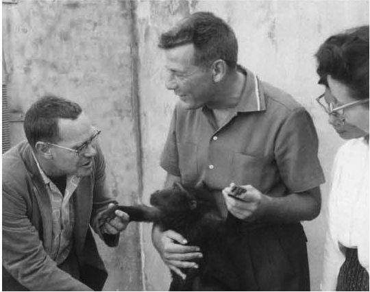 Dr. George Pournelle (center) joined the staff as mammal curator in 1953, after the retirement of Ken Stott, Jr. Here he introduces Chesty, a Celebes macaque, to a professor and his students from San Diego State University.