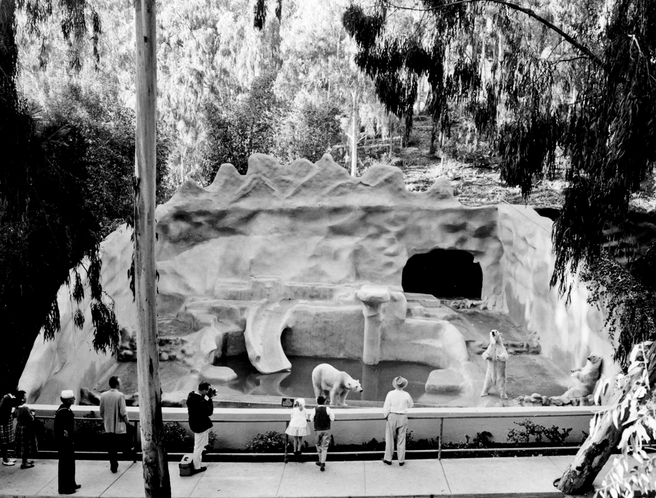 The new polar bear grotto exhibit opened in 1960.