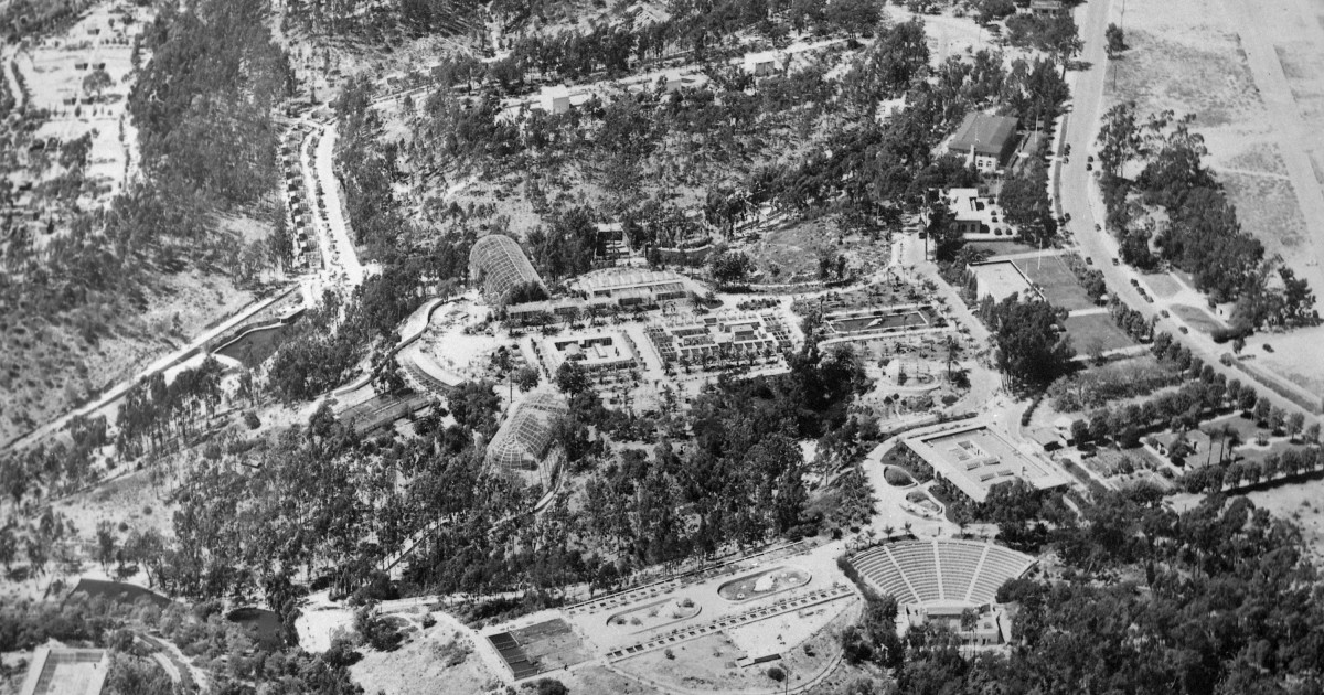 Aerial view of the Zoo, 1945 San Diego Zoo 100