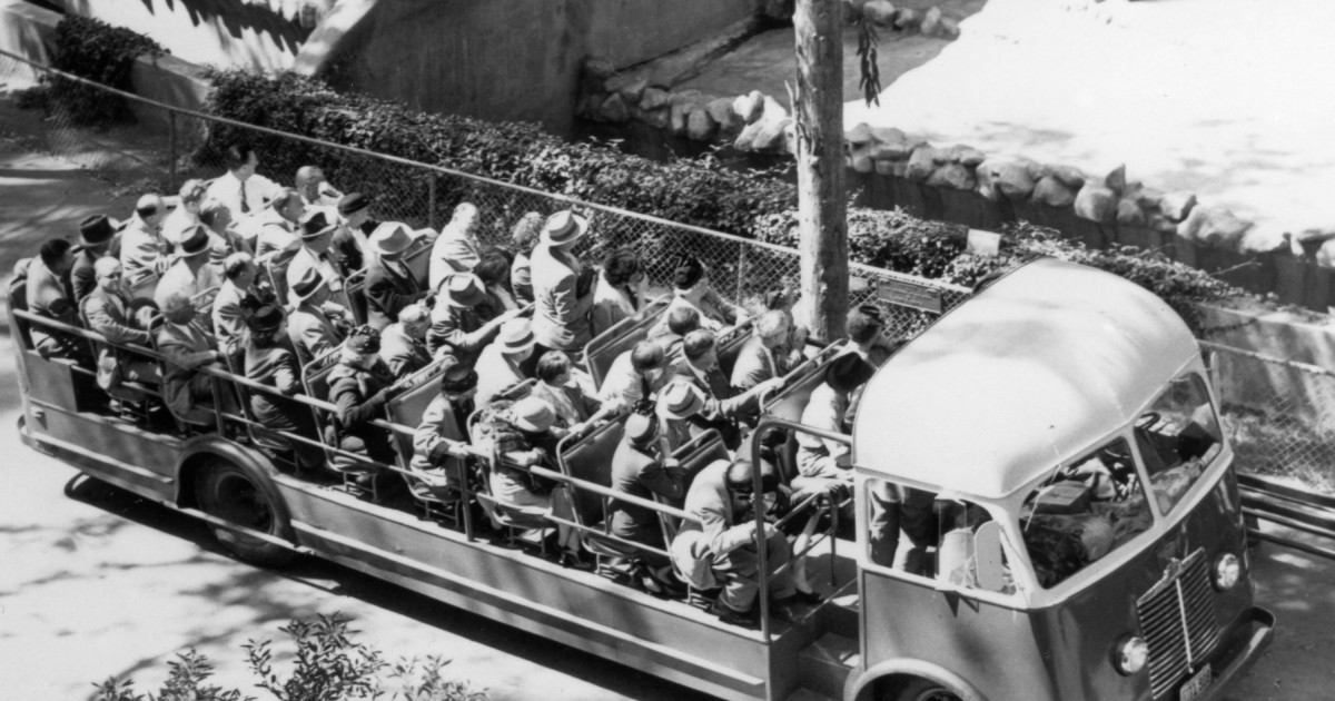 Zoo Bus Tour 1945 San Diego Zoo 100
