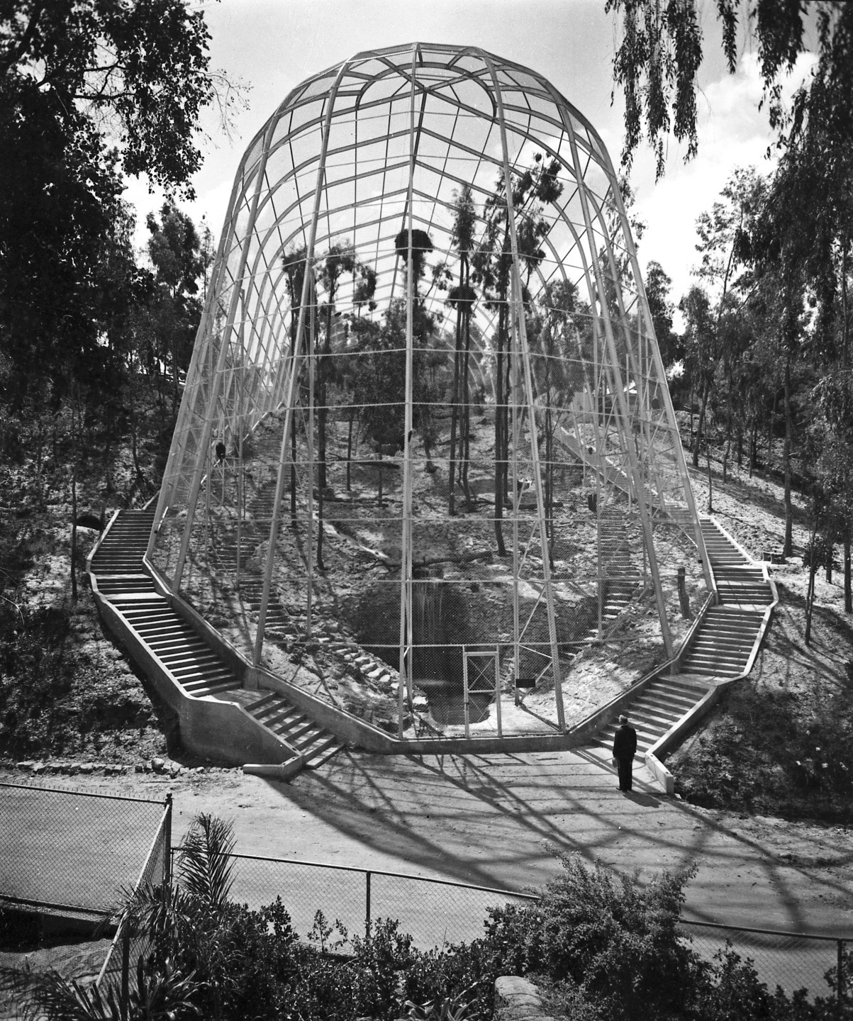 Dr. Harry stands next to the newly completed Great Eagle Cage, the largest aviary in the world in 1937. When other species are added soon after, its name is changed to  the Birds of Prey Aviary, and later it becomes the Rain Forest Aviary. 