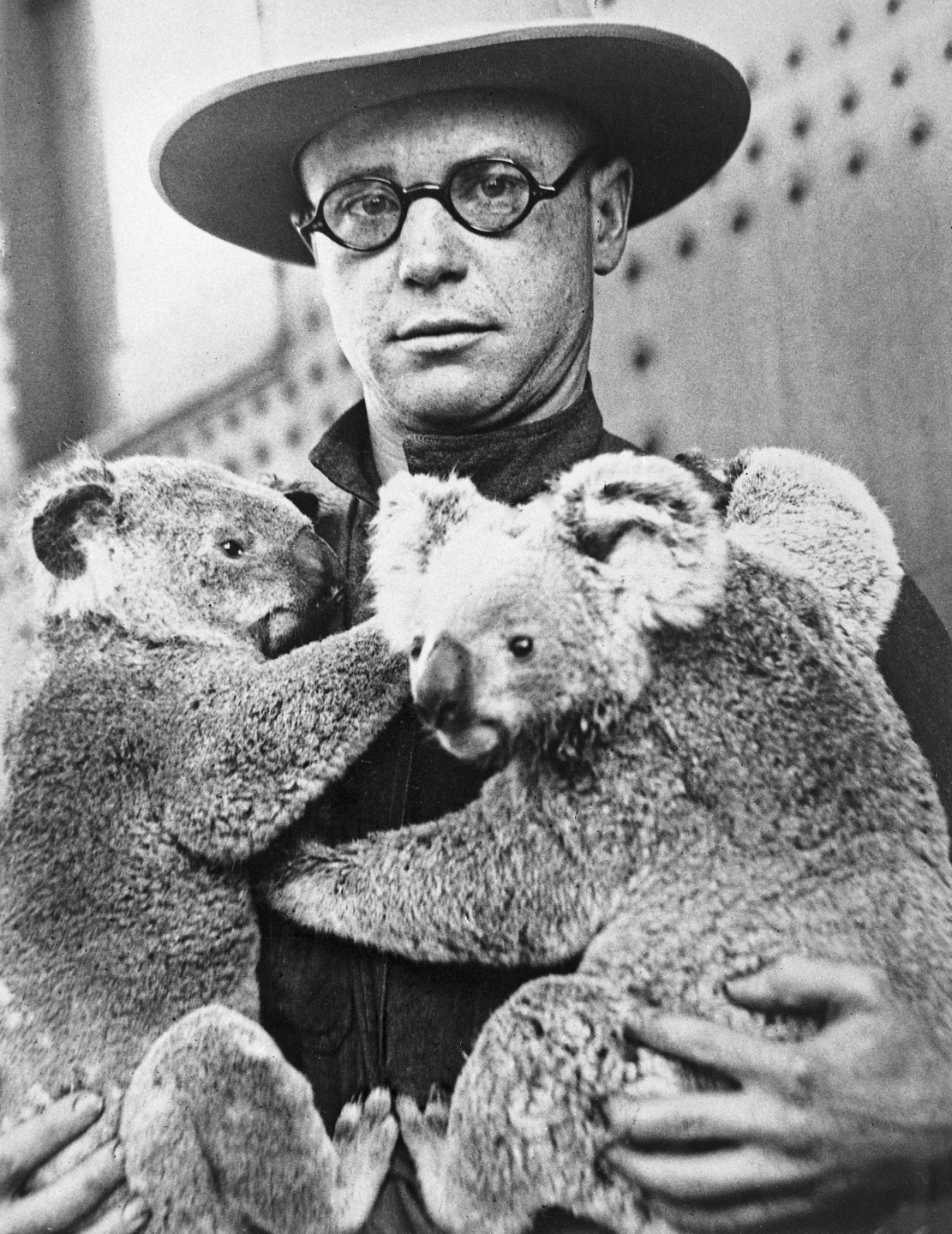 Curator of mammals Richard Addison holds the Zoo's first two koalas, Snugglepot and Cuddlepie.