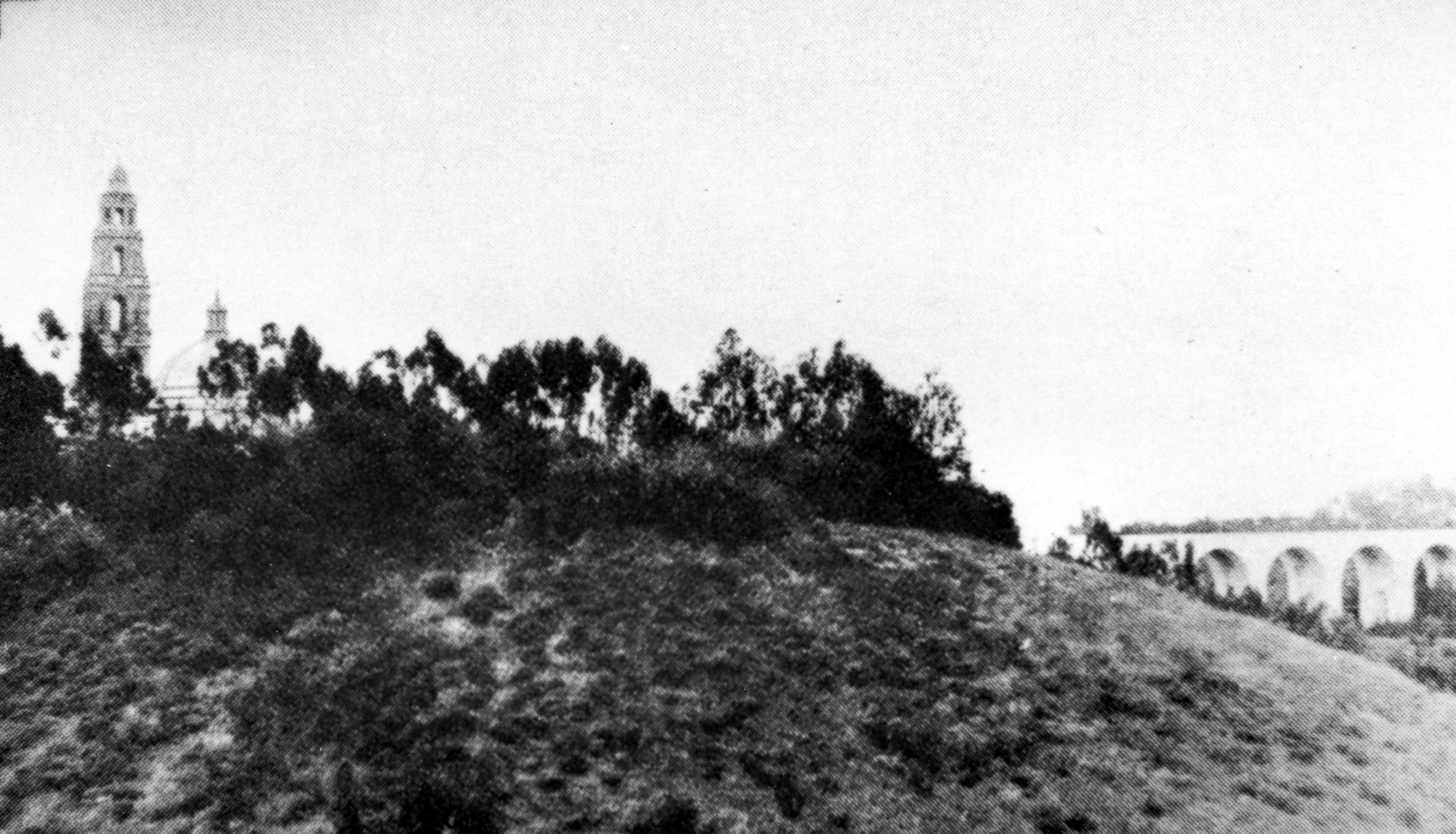 In 1921, Dr. Harry finally won his struggle to find a permanent home for the Zoo, and the City of San Diego granted the land in Balboa Park. This view looks from the undeveloped Zoo grounds back toward the California Tower and the 6th Street bridge.