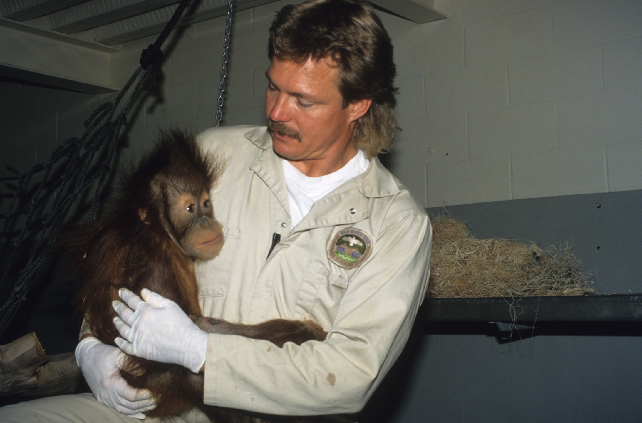 Karen orangutan and keeper Mike Bates