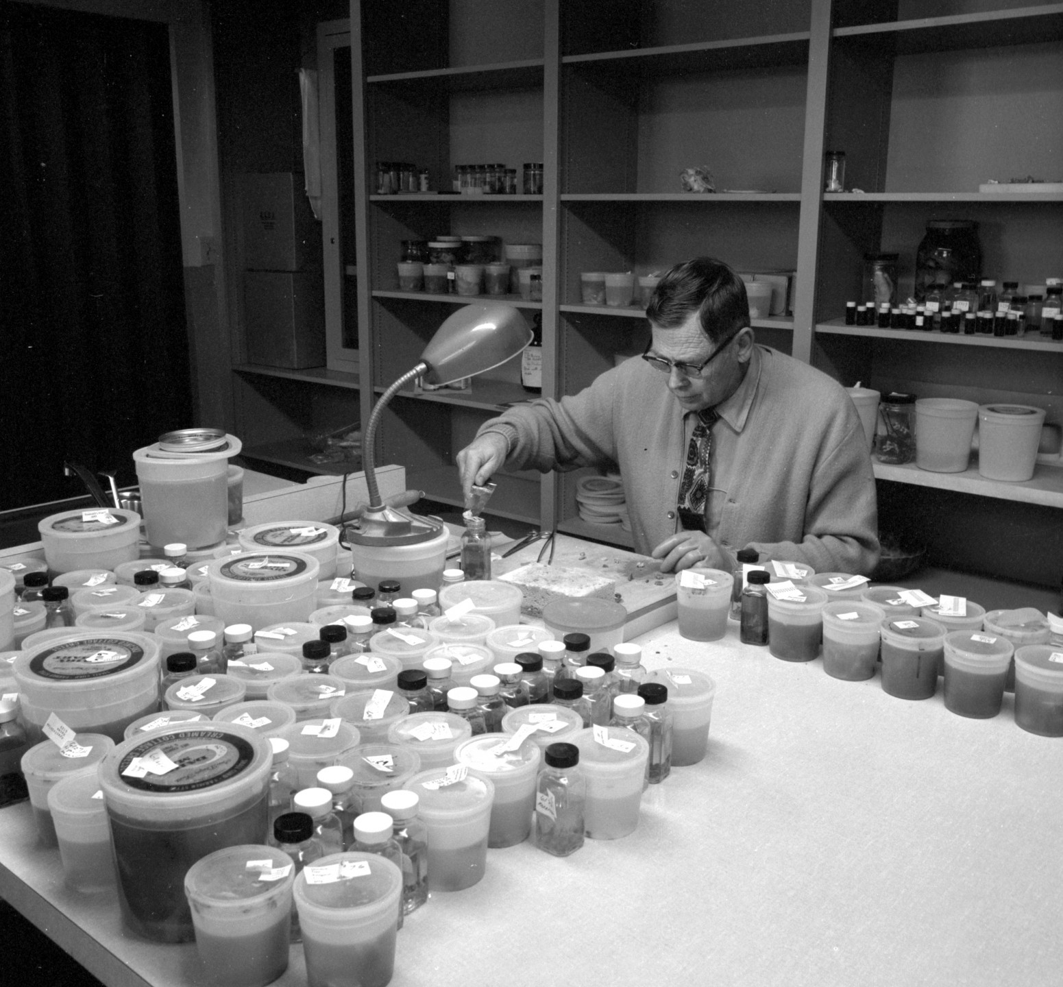Lynn Griner, DVM, Ph.D., was a professor of pathology at Colorado State University for 15 years before he came to work for the San Diego Zoo in 1964. During his tenure at the Zoo, Dr. Griner attended and presented papers at seven meetings of the International Symposium on Diseases of Zoo and Wild Animals, and he was the director in the 1960s of what was known as the Zoo's Animal Health Department, comprising veterinary services, pathology, and research—a wide range of responsibilities! Upon his retirement in 1978, Dr. Kurt Benirschke said 