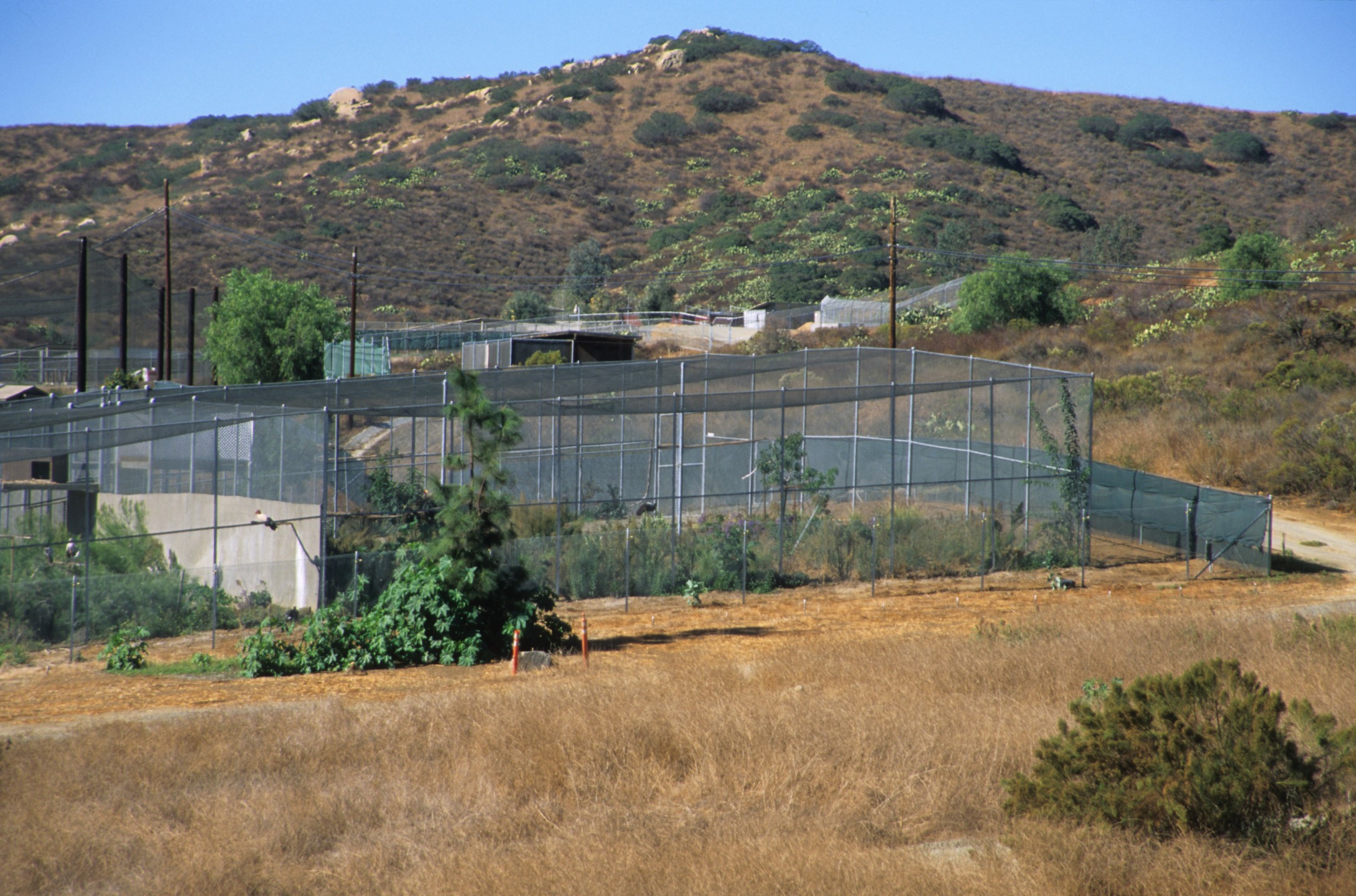 Wild Animal Park Bird Breeding Complex