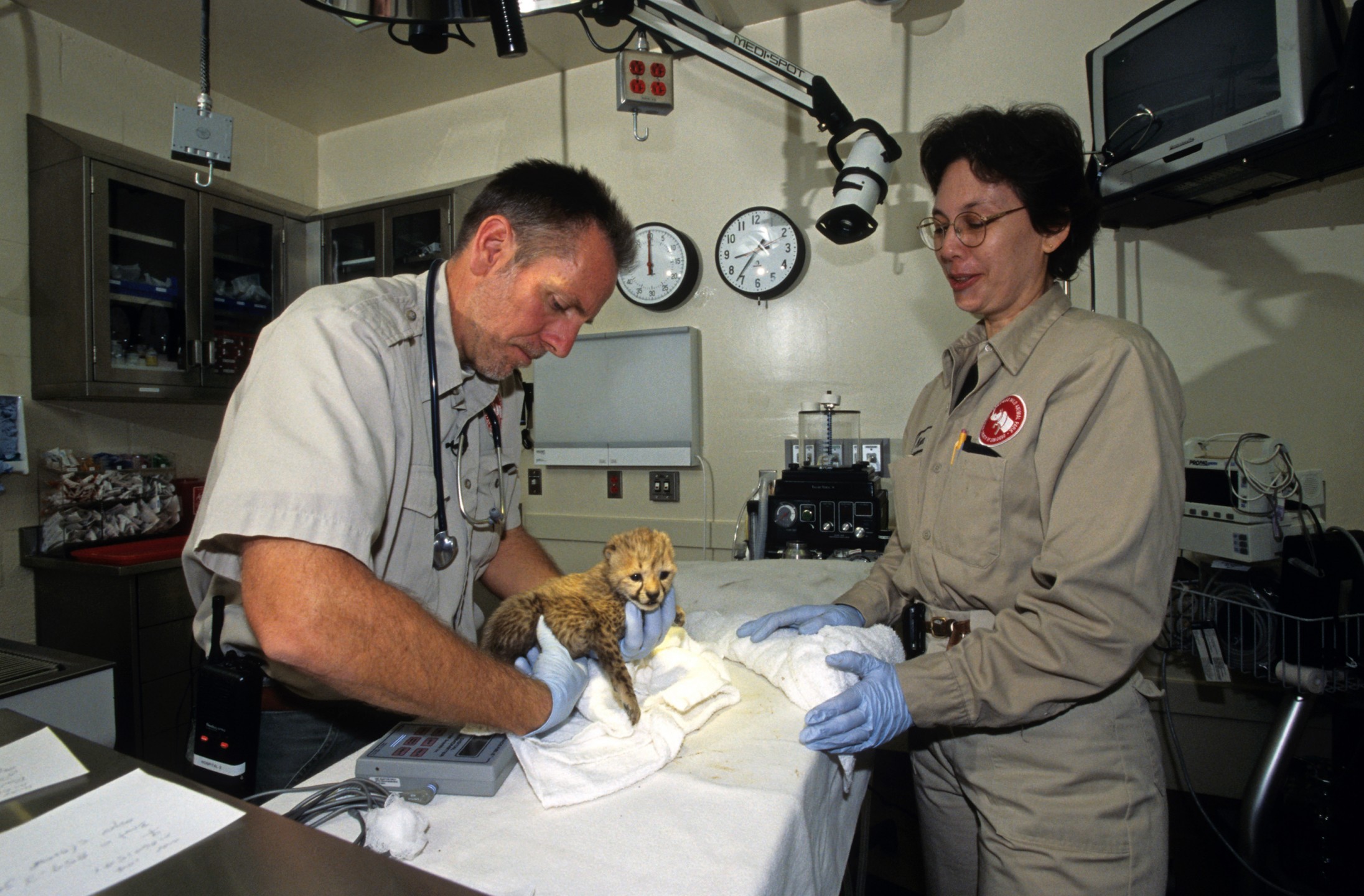 Veterinarian Dr. Jack Allen and keeper Karen Barnes check out a cheetah cub in the new Harter Veterinary Medical Center. With the new center, every patient from the smallest to the largest had the best facilities and equipment available to provide for their health care.