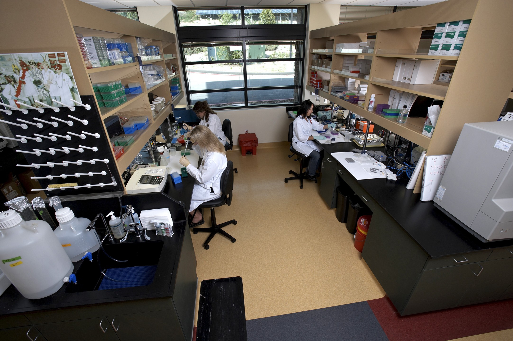 Laboratory in the Arnold and Mabel Beckman Center for Conservation Research