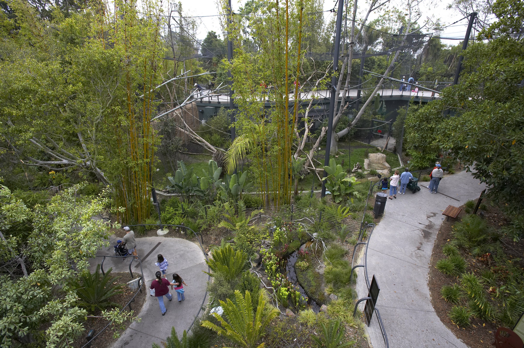 From treetops to forest floor, the meandering, multilevel pathways of Monkey Trails and Forest Tales took visitors on a journey to experience the plants, animals, and connections between species found in a healthy forest system. Bamboo, bananas, tree ferns, and ficus are just some of the plant species you can see in this photo—along with the Bog Garden in the bottom center of the photo, which contains a variety of carnivorous plants like pitcher plants and sundews.