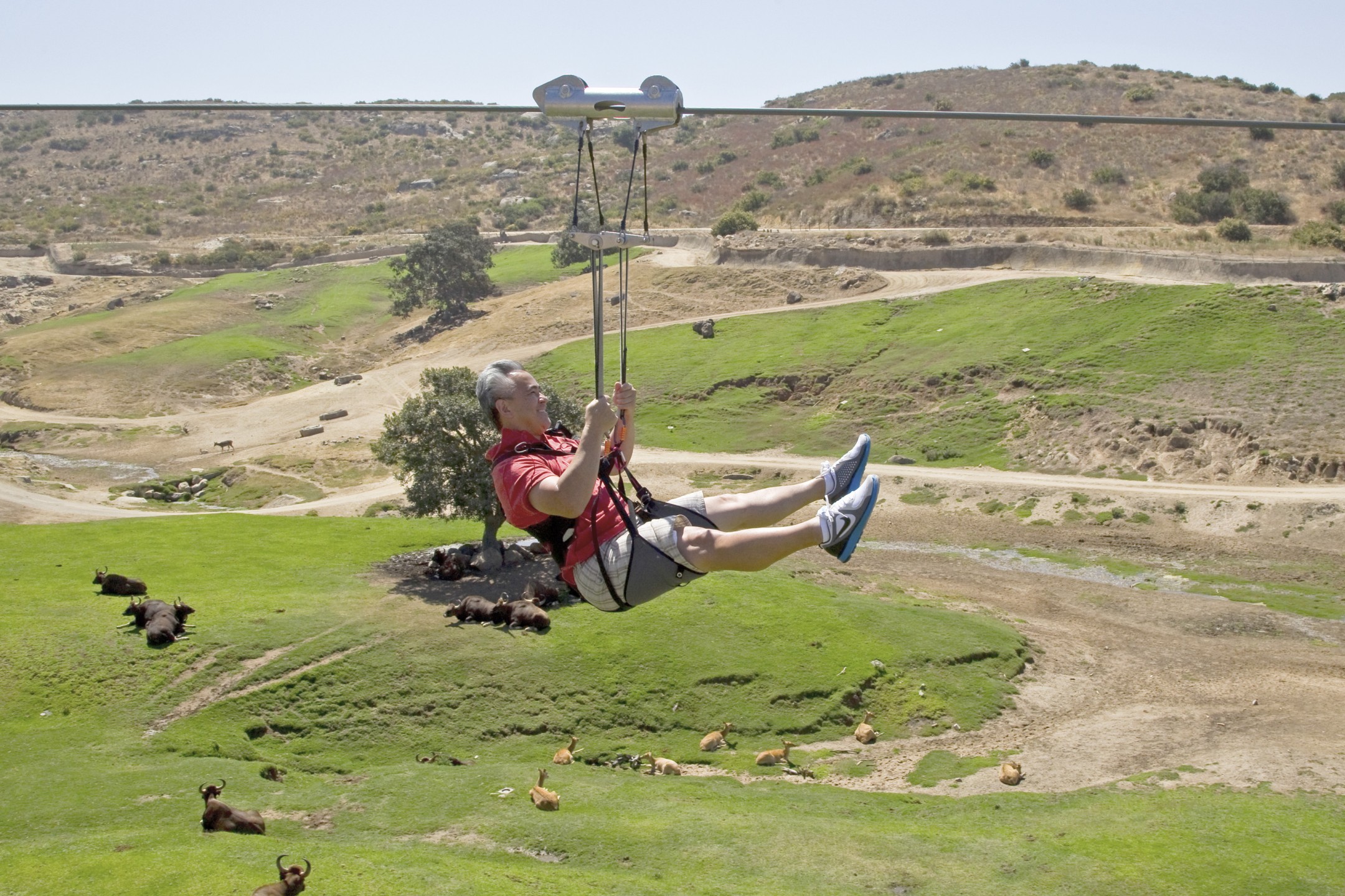 As a very different experience than the San Diego Zoo, the Wild Animal Park was the perfect place for adventure. With more safari tours than ever, Wild Animal Park guests could zip high above the Asian Plains exhibits on Flightline, ride in the back of a truck inside the field enclosures on a Photo Caravan, enjoy a small-group tour on a Savanna Safari, or even camp overnight at a Roar & Snore.