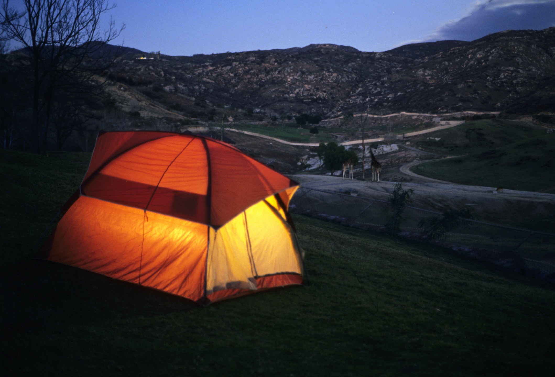 Roar & Snore camping at the Wild Animal Park