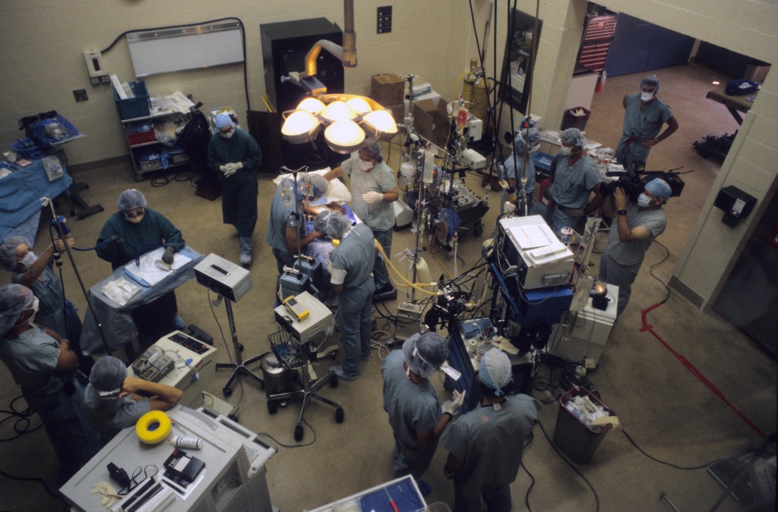 Two world-famous cardiac surgeons, Dr. Stuart Jamieson and Dr. Jolene Kriett, performed the seven-hour procedure, which was a true community effort. A surgery team from UCSD Medical Center volunteered their time, and more than 100 people, including surgeons, anesthesiologists, radiologists, respiratory therapists, nurses, laboratory specialists, and the Zoo veterinarians, veterinary technicians, and keepers came together at the Zoo hospital to help take care of Karen the orangutan. 