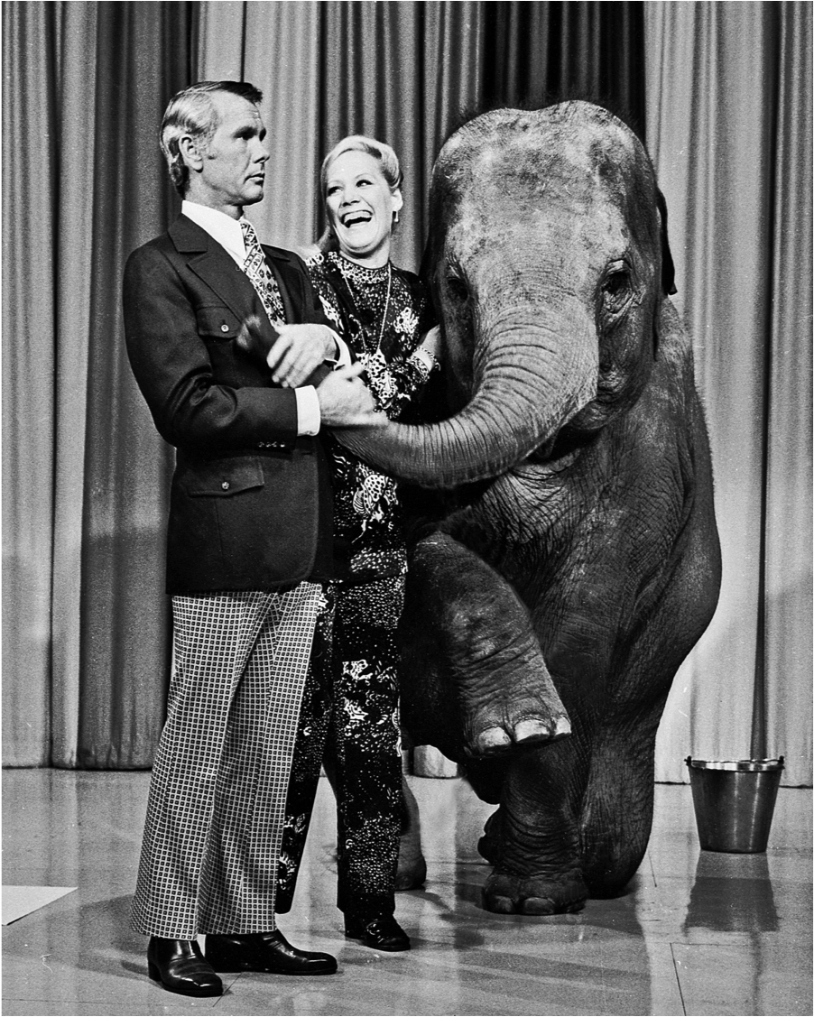 From the start, Joan's favorite animals were the elephants. On her first day as a Children’s Zoo attendant in 1968, she fell in love with Carol the Asian elephant. One of her duties was to help train Carol. “In some ways, my career was closely tied to an elephant,” Joan says. “Teaching Carol to hold a paintbrush led to our first local news story about the painting elephant, picked up by newspapers all over the country, leading to our first appearance on ‘The Tonight Show Starring Johnny Carson.’ That led to all the other television show appearances.”