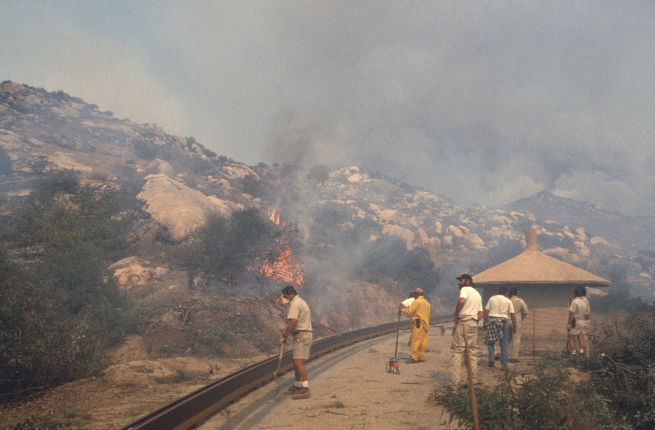 1993 wildfires at the Wild Animal Park