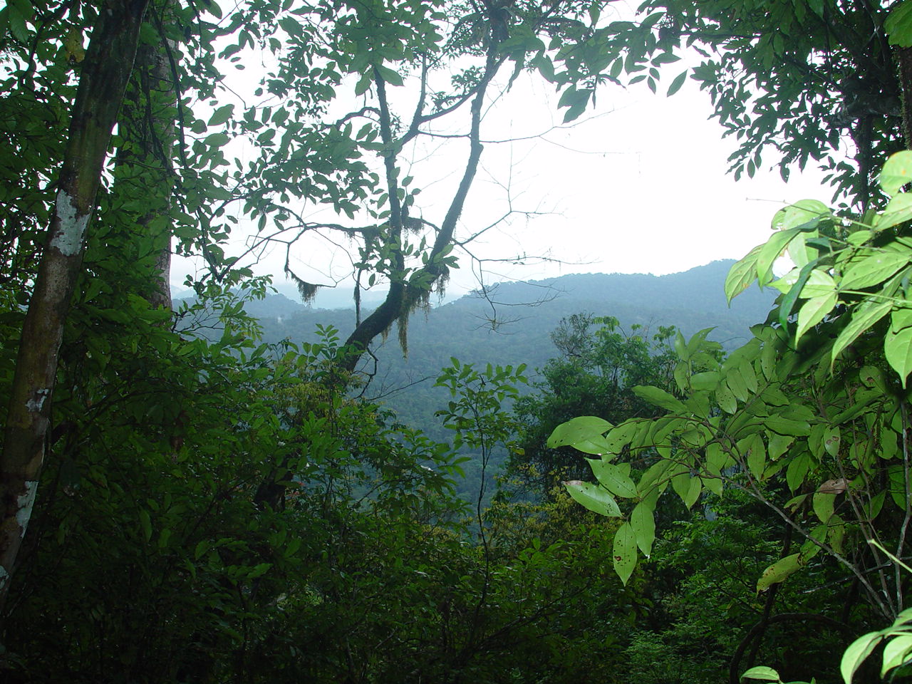 View of the mountains in the Ebo Forest