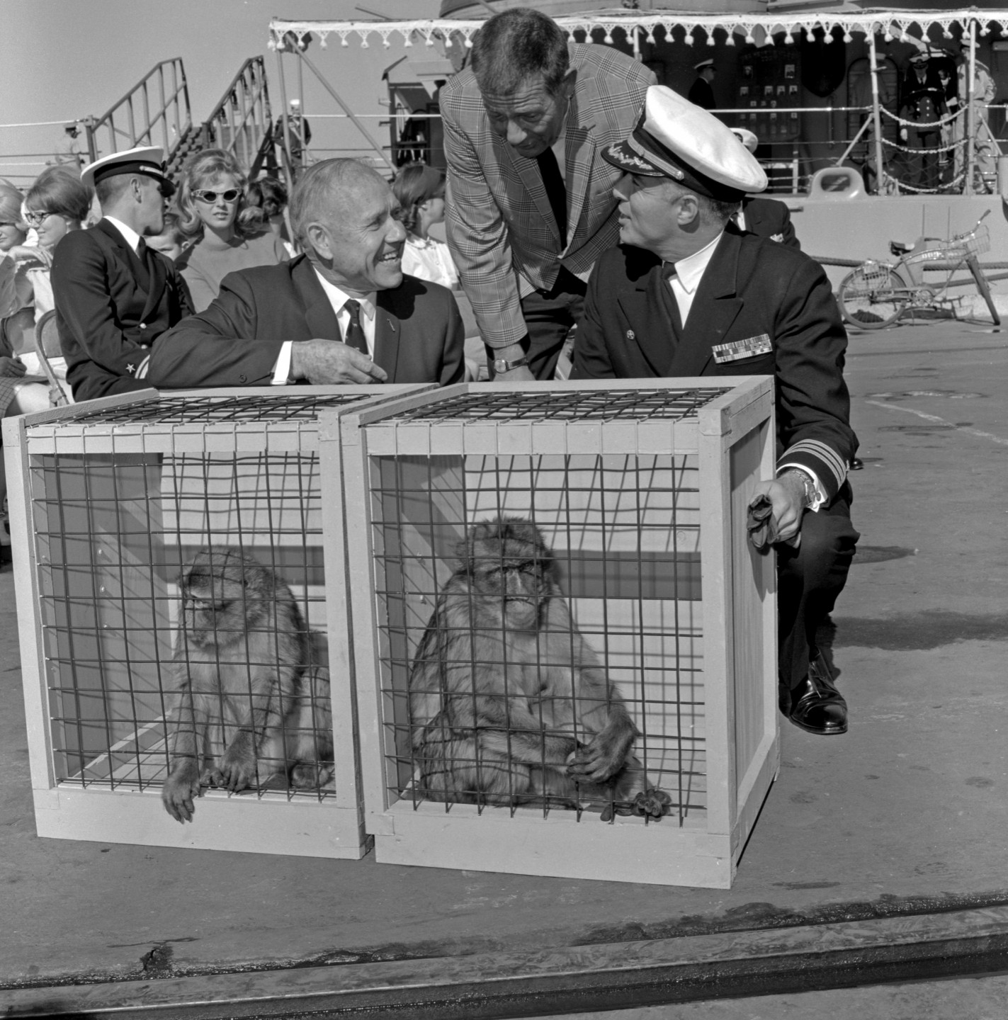 Zoo director Dr. Charles Schroeder (left) and Zoo mammal curator Dr. George Pournelle (center) were on hand to accept the extraordinary gift of two Barbary macaques, also known as the 