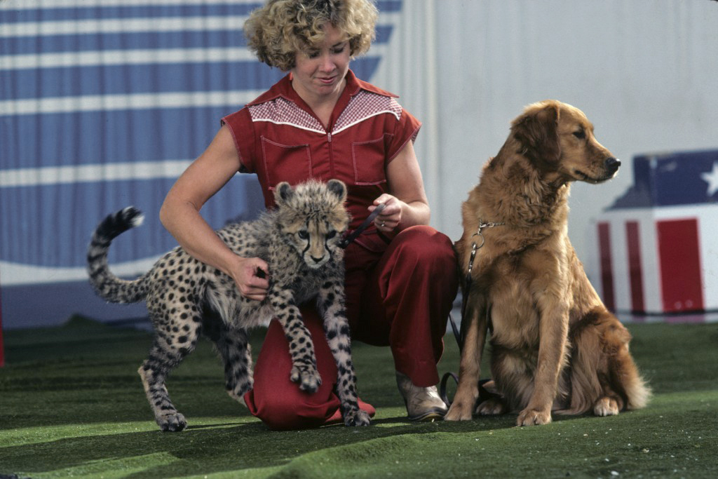 Young Arusha, cheetah, and Anna, golden retreiver, with trainer Carlee Robinson