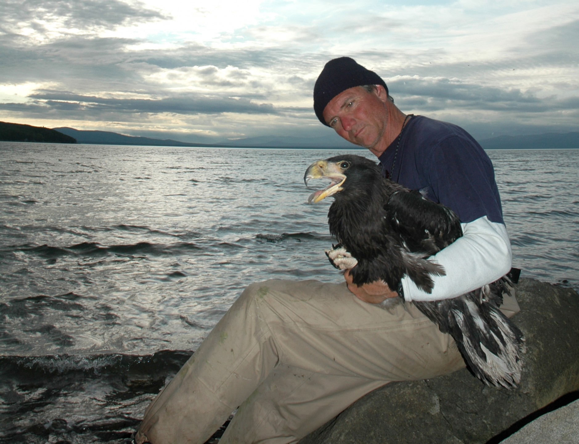 Dave Rimlinger, San Diego Zoo curator of birds, holds a Steller's sea-eagle during the expedition. Dave's wind-chapped and sunburned appearance attest to the harsh conditions of working along the Siberian coast. And note his firm grip on the eagle's legs and feet—those talons deserve respect!