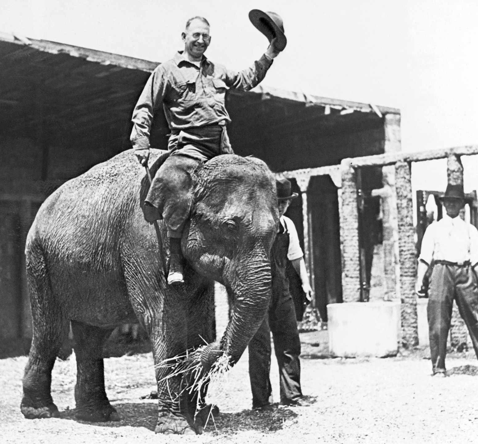 Dr. Harry reenacts his elephant ride for newspaper reporters eager to print the story.