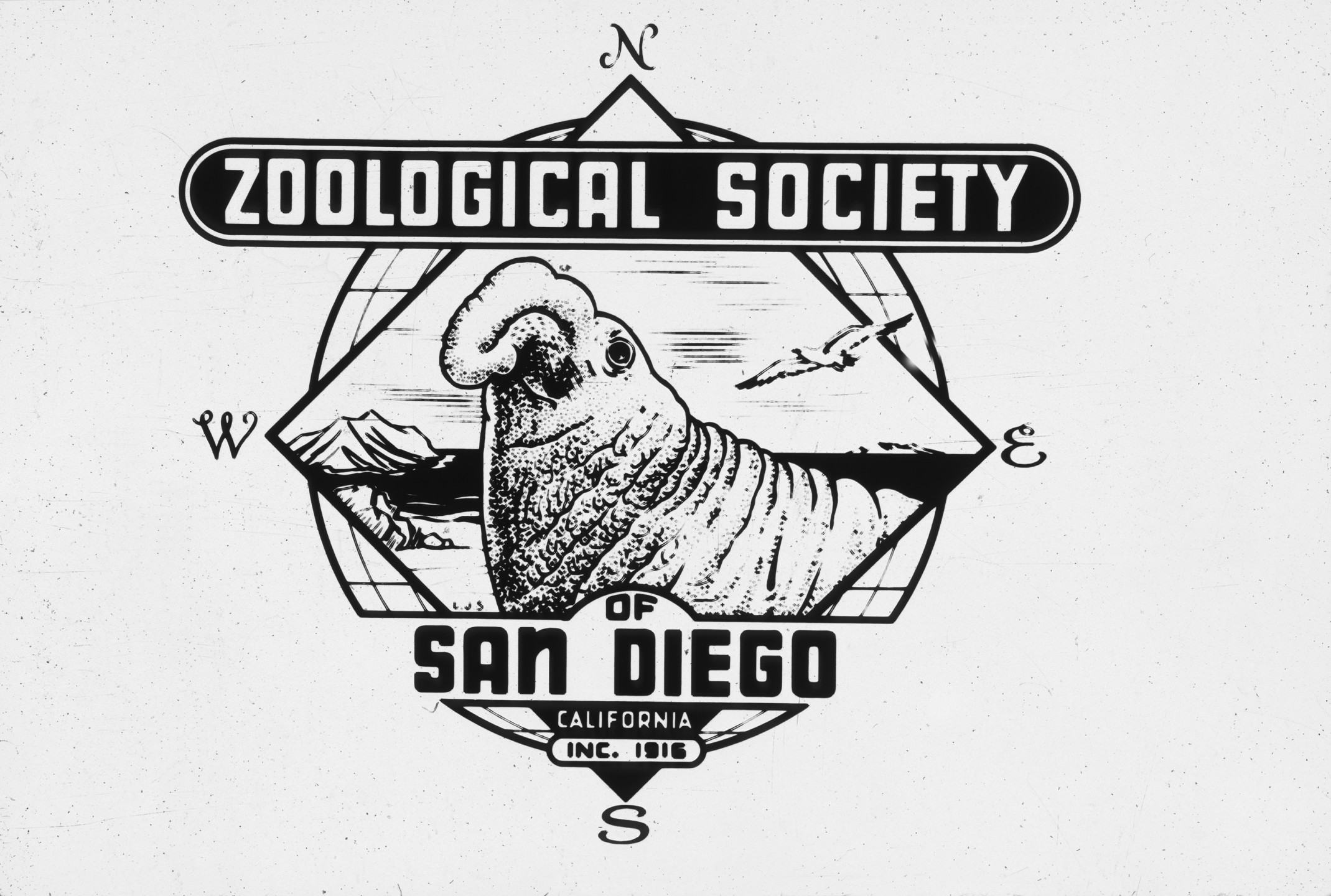 Elephant seal logo