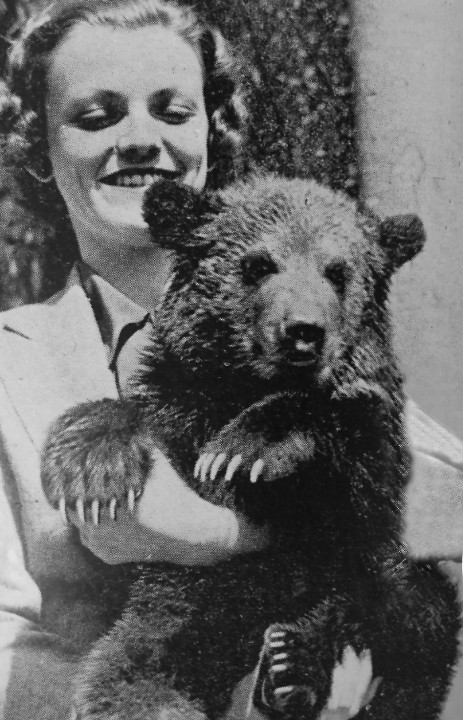 Simon the grizzly bear cub and his twin sister Lottie were the Zoo's first grizzly bear cubs, born in 1936.