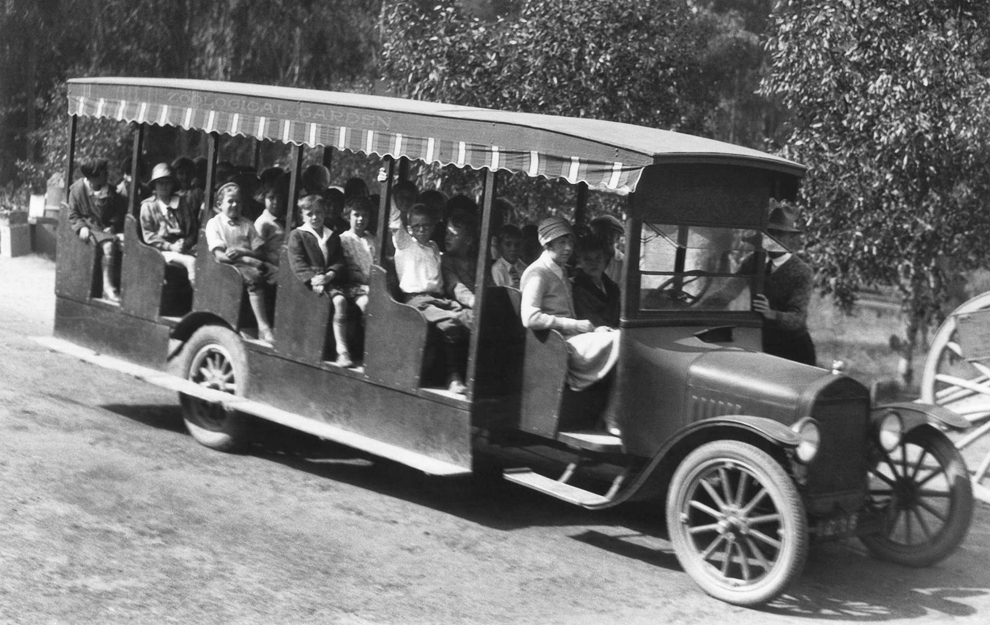 The first bus used to pick up schoolchildren for field trips to the Zoo during the week and for Zoo Bus Tours on the weekend was purchased with funds donated by former school teacher Miss Anne Zimmerman.