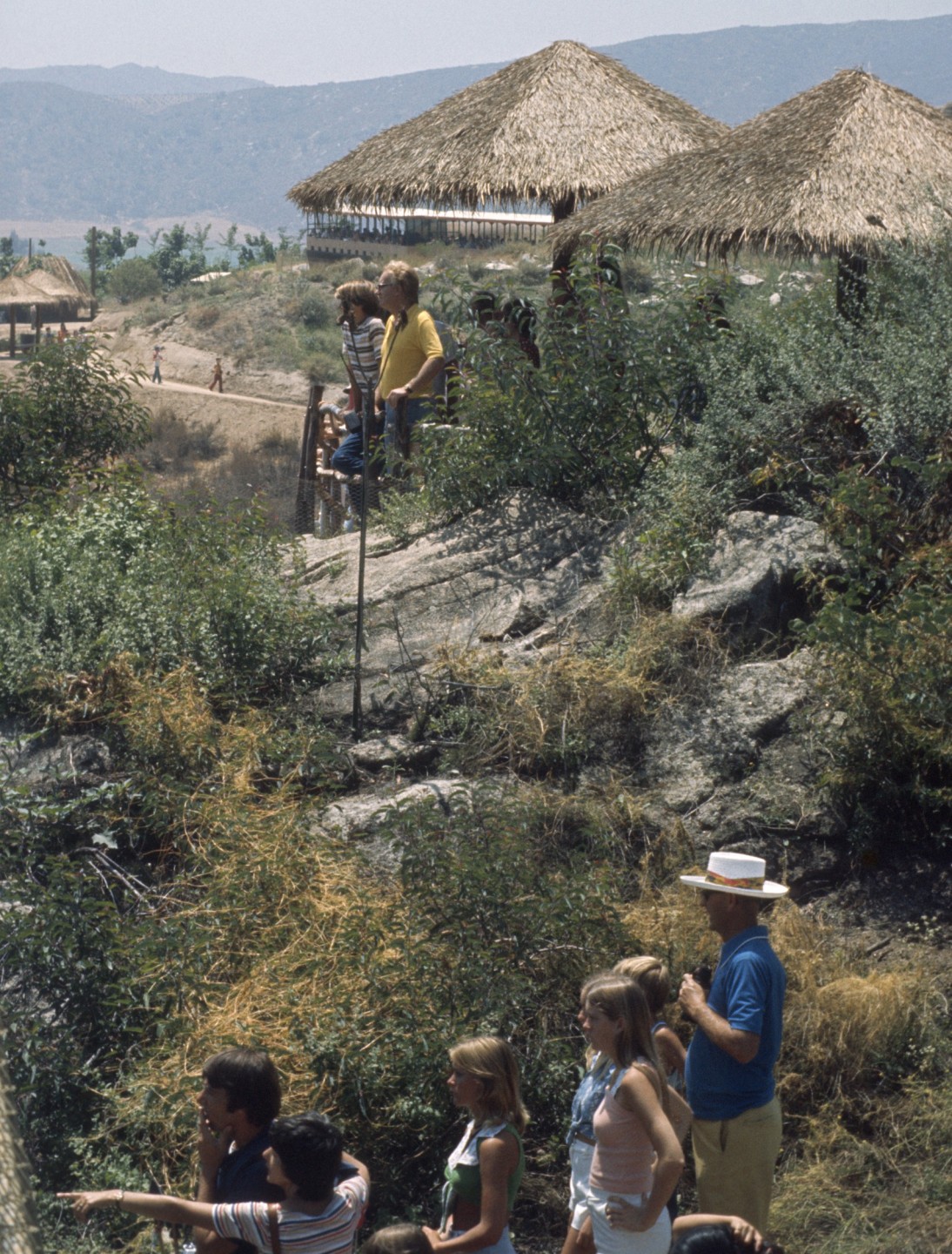 Kilimanjaro Hiking Trail viewpoint