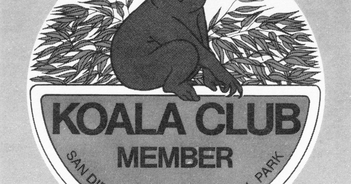 Koala Club decal San Diego Zoo 100