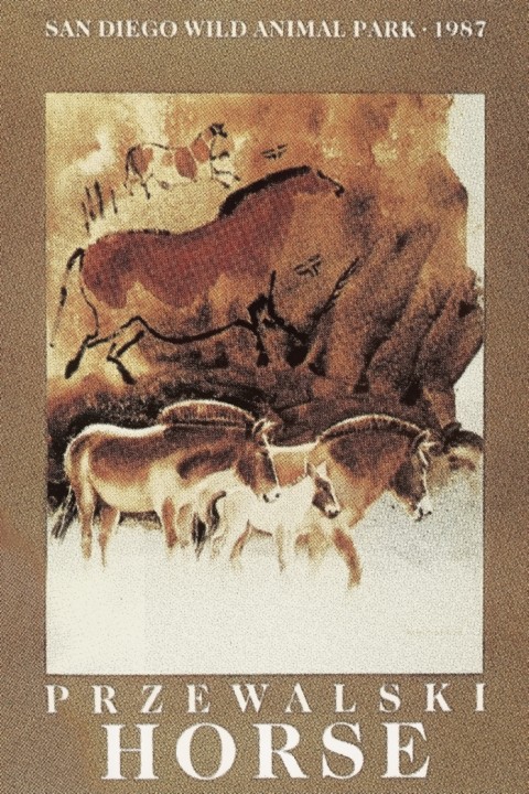 Bill was particularly known for his stunning watercolor artwork, and this poster he created when the Przewalski's horses came to the Wild Animal Park was a favorite of many.