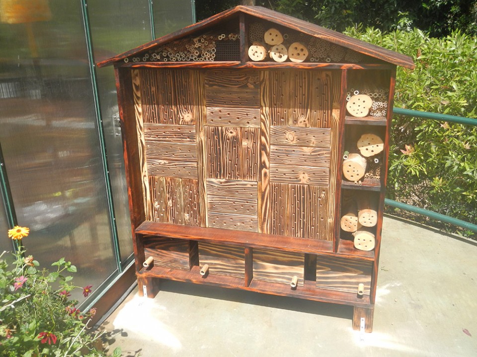 A bee house was built for the Zoo's Pollinator Garden, which provides different sizes of holes for native bee species, which are particularly being affected by pesticide use, as a safe haven for nesting. It also serves as an educational opportunity for guests and school groups, to show what people can do to help bees.