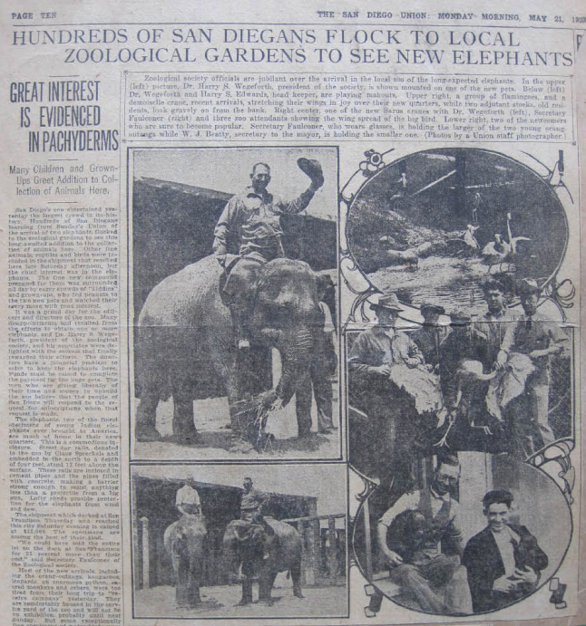 Newspaper article about the elephants' arrival, 1923