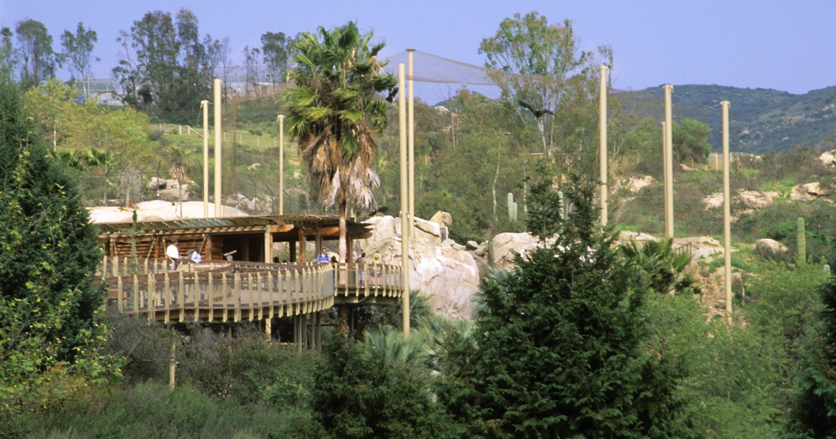 Condor Ridge | San Diego Zoo 100
