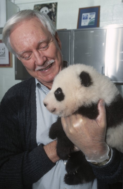 Dr. Donald Lindburg, head of the behavior division of the Center for Reproduction of Endangered Species (CRES) and head of the Giant Panda Conservation and Research Program, says hello to Mei Sheng, the second panda cub born at the San Diego Zoo. Don began his career with CRES in 1979, and he led teams studying behavior and reproduction solutions for several endangered species, particularly lion-tailed macaques, cheetahs, and giant pandas. He was also instrumental in working with colleagues in China to bring giant pandas to the San Diego Zoo for the first 12-year conservation research loan.