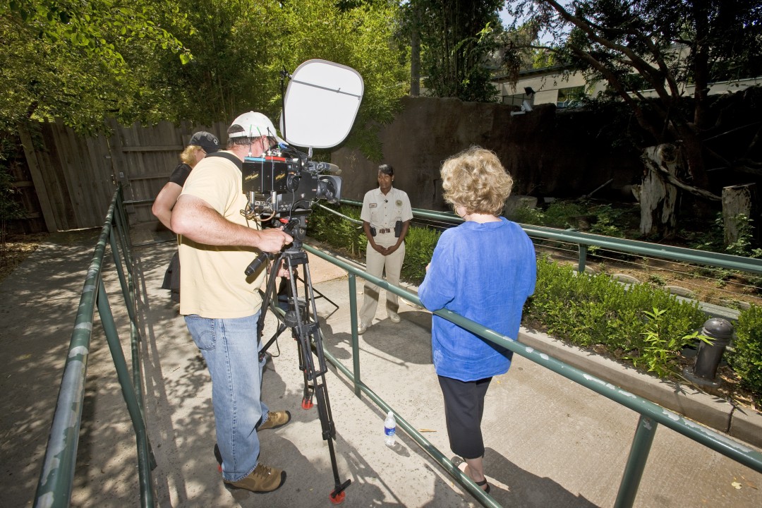 San Diego Zoo panda keeper Lisa Johnson (center) gets ready to film an interview for 