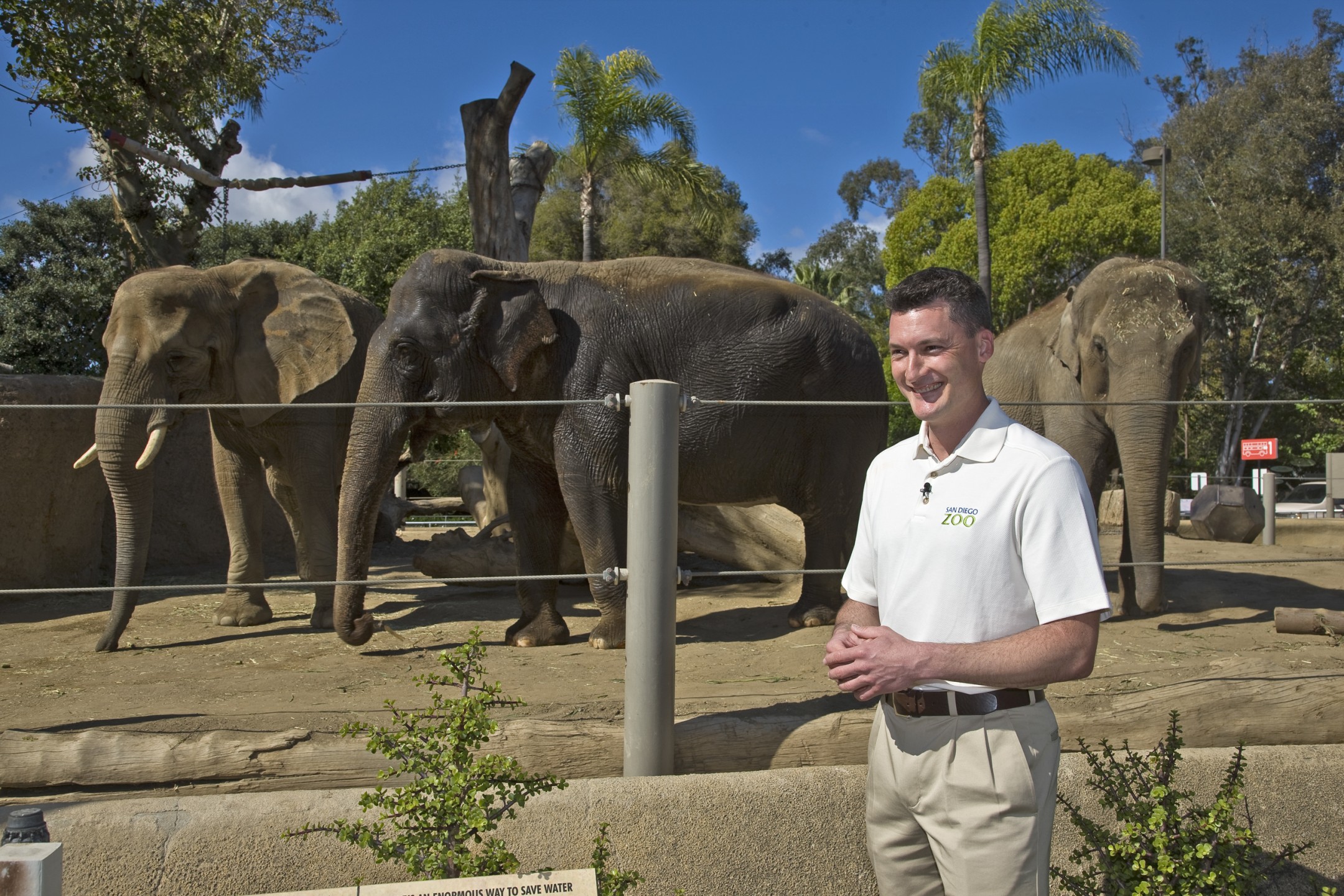As construction for Harry and Grace Steele Elephant Odyssey was underway, both the elephants and the San Diego Zoo found a new ambassador in Rick Schwartz. Rick was a keeper in the Children's Zoo and had a passion for wildlife conservation, and he was soon in front of the camera as the San Diego Zoo Elephant Odyssey Ambassador.