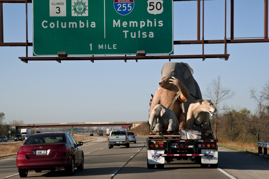 The media tour route for the Elephant Odyssey statues had to be carefully planned—the mammoth, at life size, barely fit under some road signs and freeway overpasses!