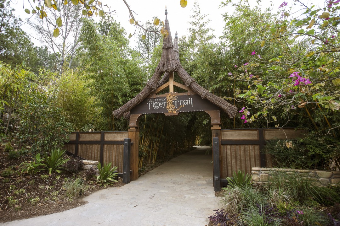 The rustic design of Tiger Trail invited Safari Park visitors into the world of both the animals and the people that live in the Indonesian forest habitat. The success of this immersive experience won the San Diego Zoo Safari Park the American Association of Zoos and Aquariums' 2014 award for best exhibit design.
