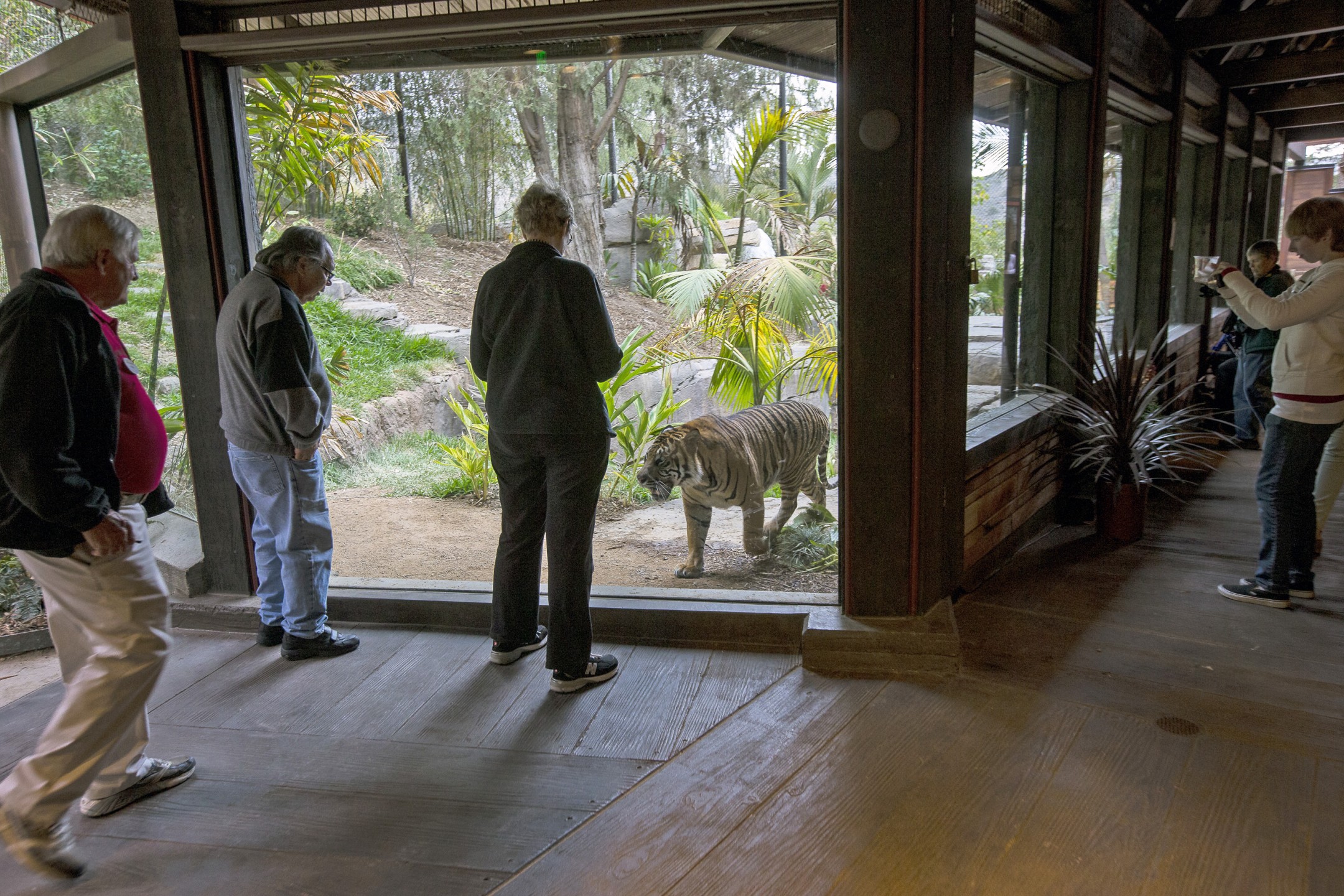 View inside the Sambutan Longhouse at Tull Family Tiger Trail