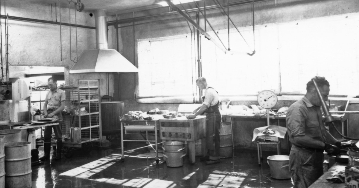 Food Warehouse San Diego Zoo 100