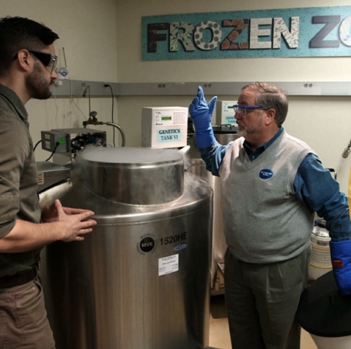 Oliver Ryder, Ph.D., Director of Genetics, Kleberg Chair (right) discusses the features of the Frozen Zoo. The Frozen Zoo currently contains living cell lines, gametes, and embryos from nearly 10,000 individuals and more than 1,000 taxa of mammals, birds, reptiles, amphibians, and fish, including one extinct species: the po'ouli honeycreeper. The Frozen Zoo is valued as a global genetic resource that has helped advance artificial insemination, in vitro fertilization, and stem cell technology and how they may be applied to wildlife conservation, and it will continue to be a vital asset in the years to come as San Diego Zoo Global leads the fight against extinction.