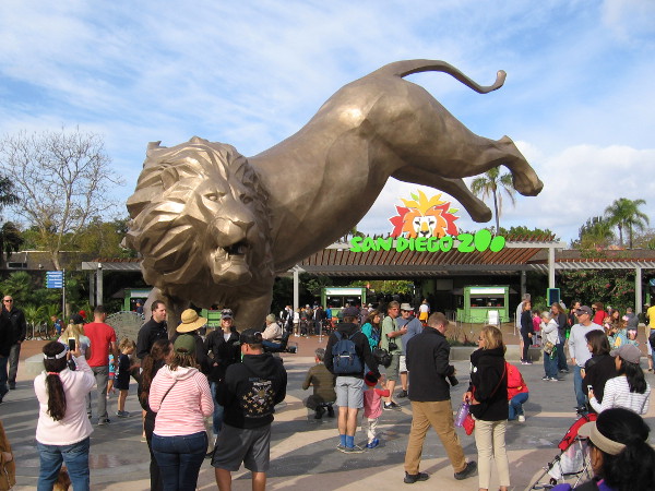 A New Record for Attendance San Diego Zoo 100