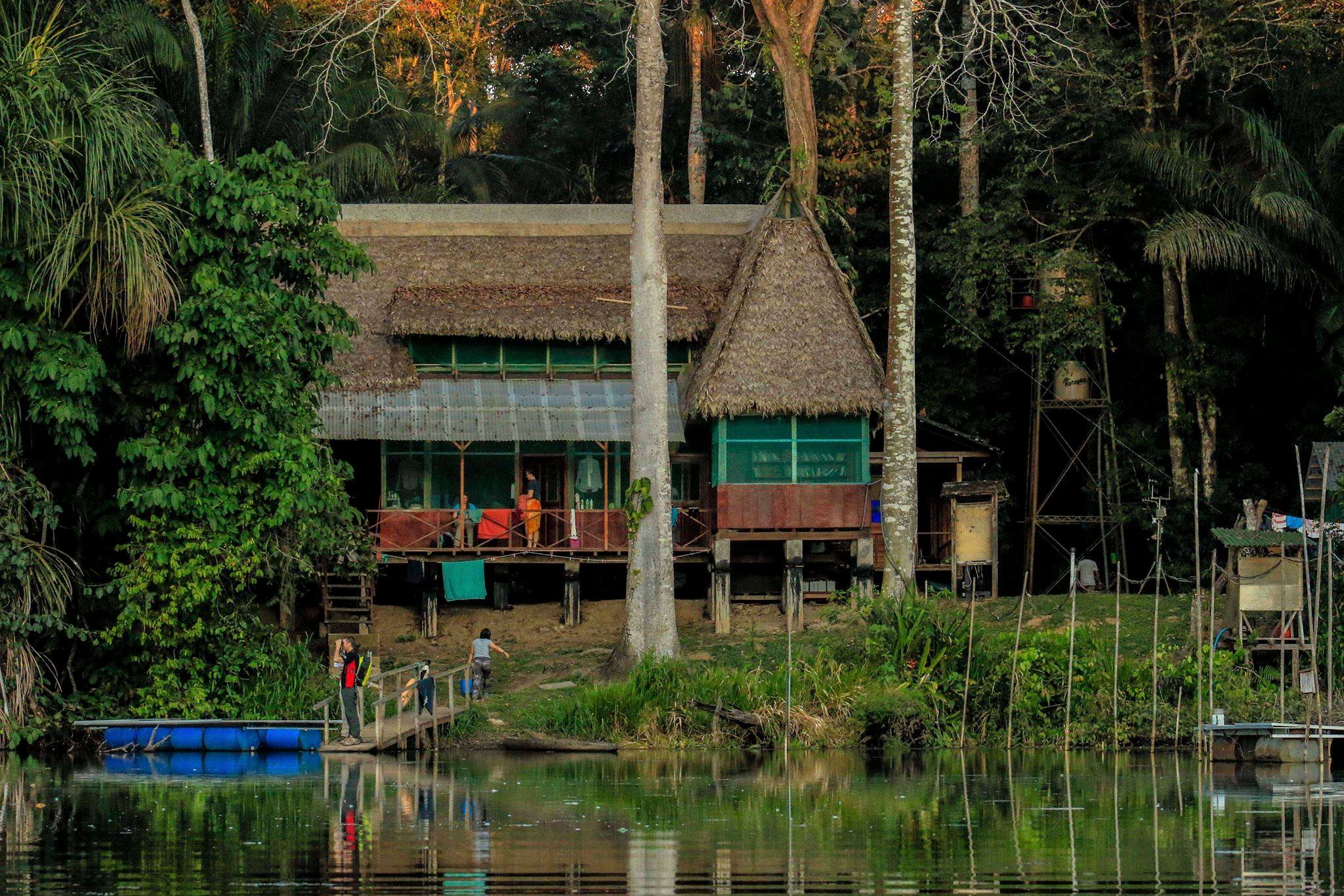 For 50 years, staff at Cocha Cashu Biological Station in Peru have been working to help protect the irreplaceable ecosystem of Peru’s Manu National Park, a landscape critical for sustaining global biodiversity and preventing mass extinction. The 4.2 million-acre national park in the southeastern Peruvian Amazon encompasses the entire Manu River watershed from the Andes mountains to the lowland Amazonian rain forest. Considered to be one of the most pristine ecosystems on the planet, Manu National Park is recognized as a World Heritage Site and is protected as one of the most biodiverse lowland tropical forests in the world. For over three decades, the field station was operated under the auspices of the Peruvian government by John Terborgh, professor of environmental science at Duke University. Cocha Cashu is now jointly managed by SERNANP and San Diego Zoo Global, with the shared goal of maintaining the station’s legacy as a premier site for tropical research, while also expanding the station’s mission to build conservation capacity in Peru, better integrate local communities and wider society, and address Manu Park management objectives and conservation priorities.