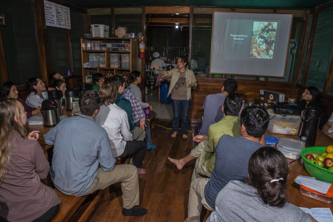 Researchers and students come to Cocha Cashu and fall in love with tropical nature. There is no better place to see it up close and personal than at this spectacular reserve. An annual field course trains about a dozen of Peru’s brightest and most passionate college students in the techniques and applications of field ecology and conservation. They will go on to become the conservation practitioners, government authorities, and professors who help define conservation in the coming generations. 